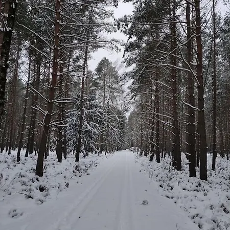 Erna 펜션 도벌러그컬켄