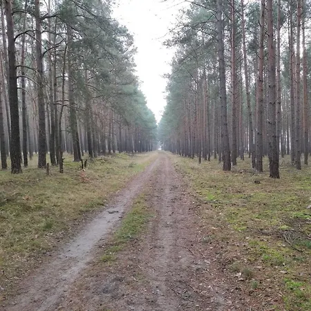 펜션 Erna 도벌러그컬켄