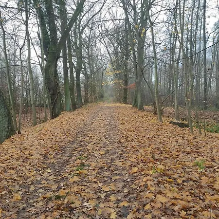 펜션 Erna 도벌러그컬켄