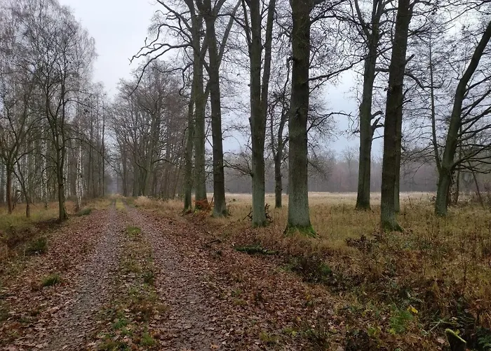Erna Сasa de vacaciones *