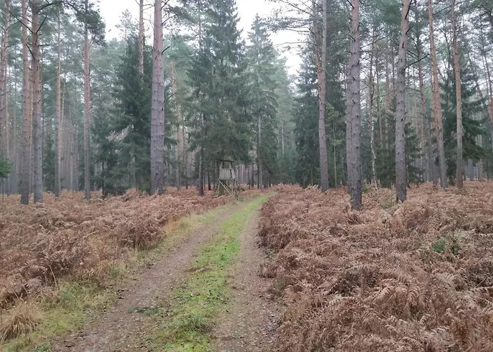 Сasa de vacaciones Erna *