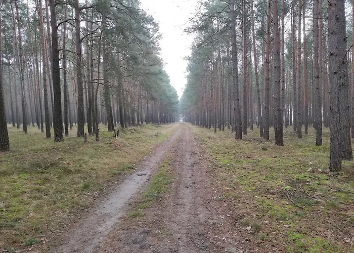Сasa de vacaciones Erna Doberlug-Kirchhain