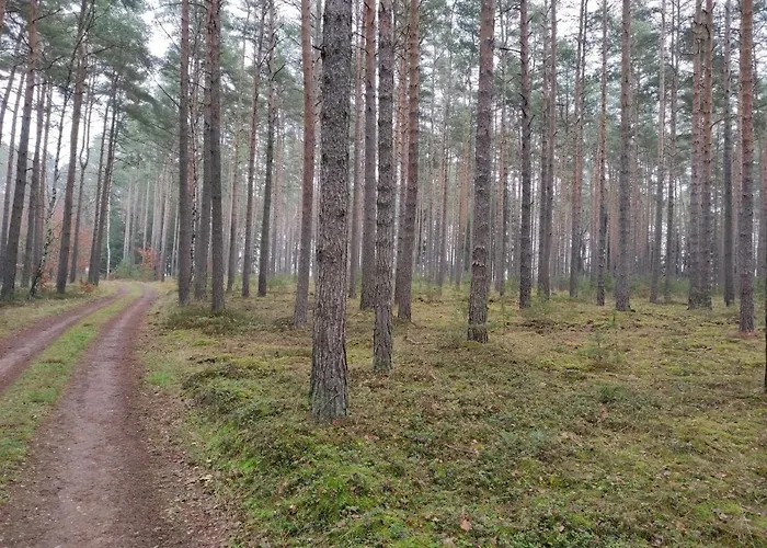 Erna Сasa de vacaciones
