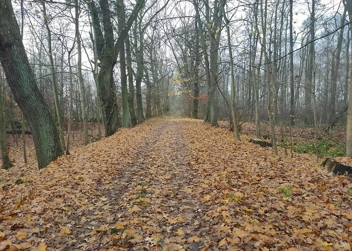Сasa de vacaciones Erna Doberlug-Kirchhain